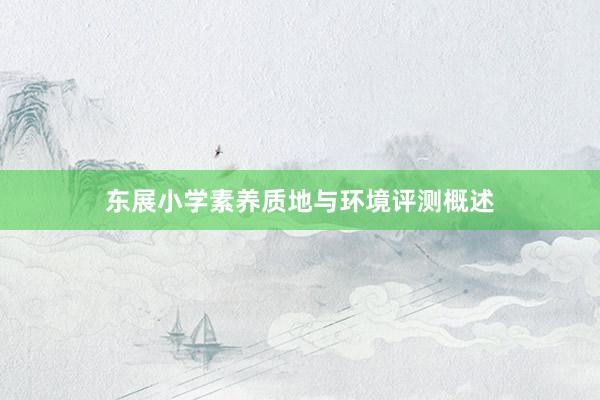 东展小学素养质地与环境评测概述