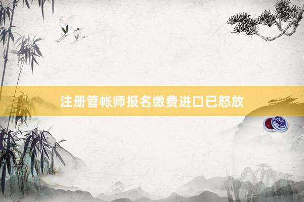 注册管帐师报名缴费进口已怒放